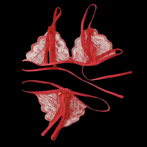 Red Sheer Lingerie Set