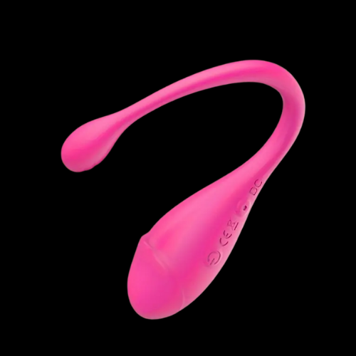 Wearable Vibrating Egg